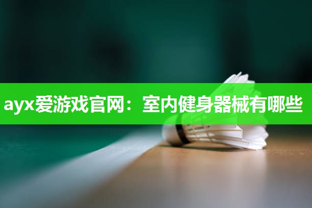 ayx爱游戏官网：室内健身器械有哪些