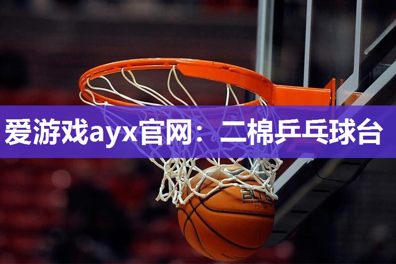 爱游戏ayx官网：二棉乒乓球台