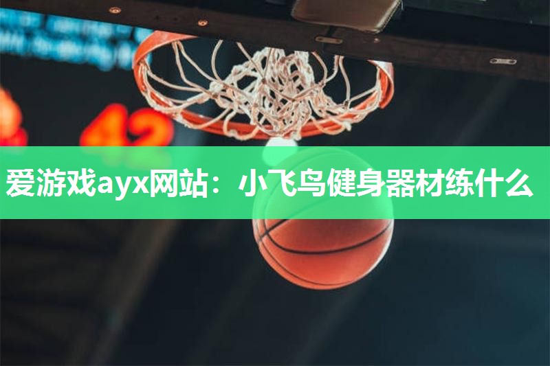 爱游戏ayx网站：小飞鸟健身器材练什么