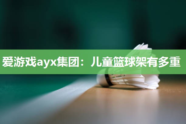 爱游戏ayx集团：儿童篮球架有多重